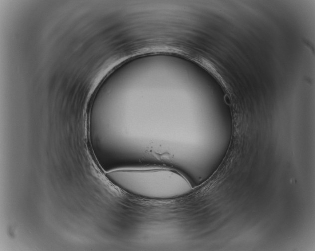 X0000100981140200806241142