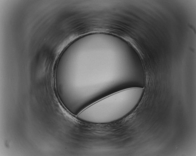 X0000100981143200806241142