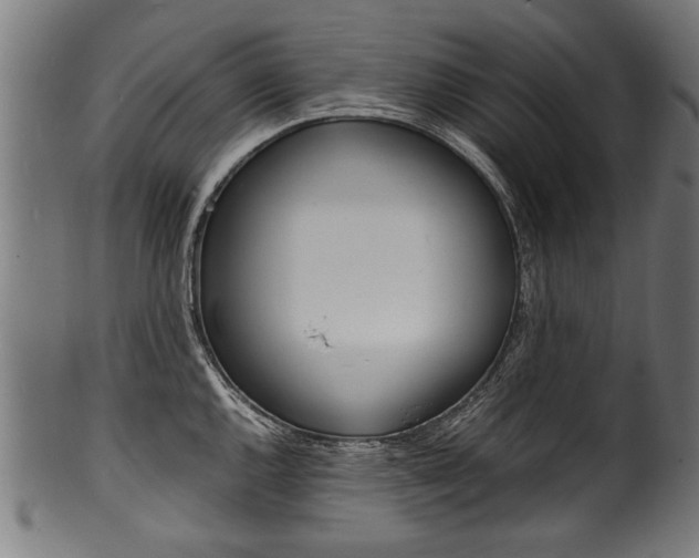X0000100981144200806241142