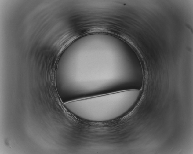 X0000100981145200806241142