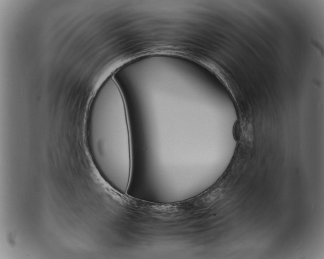 X0000100981147200806241142