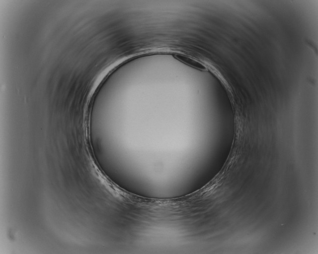 X0000100981148200806241142