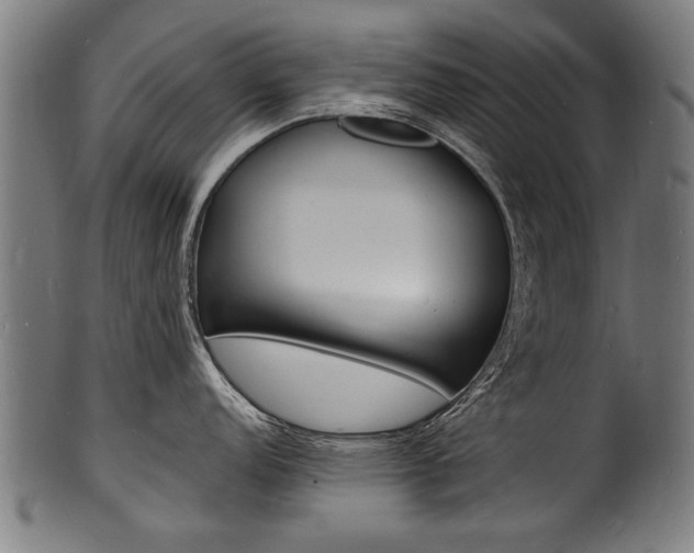 X0000100981152200806241142