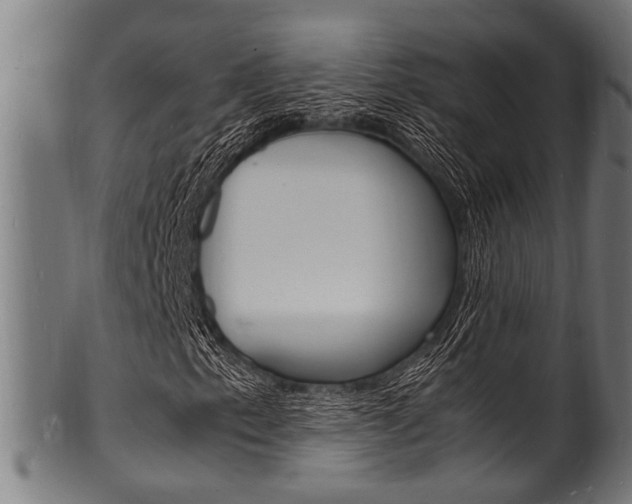 X0000100981153200806241142