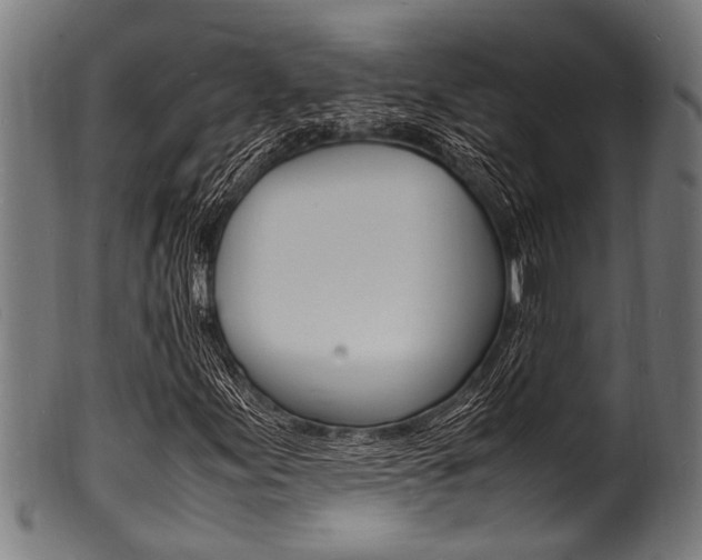 X0000100981155200806241142