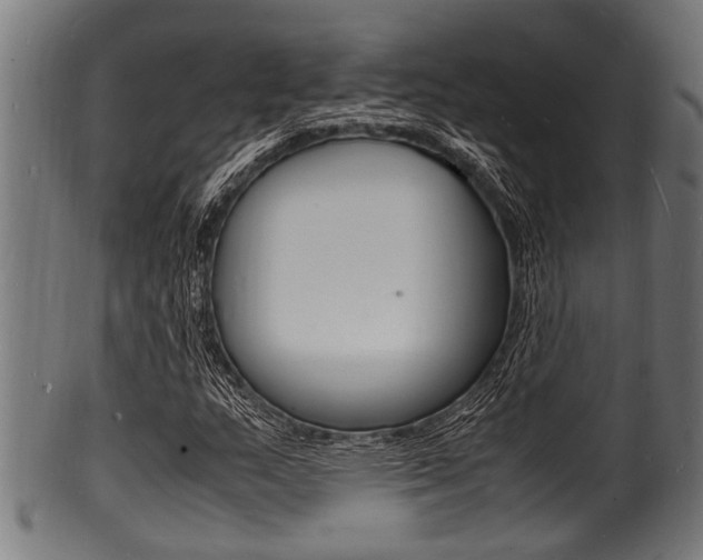 X0000100981159200806241142