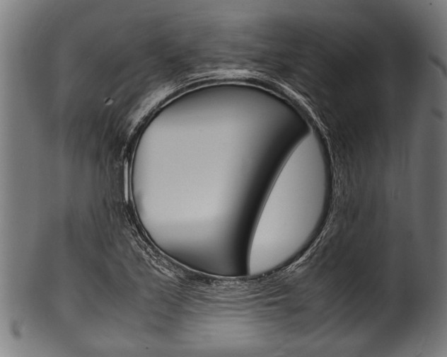 X0000100981171200806241141