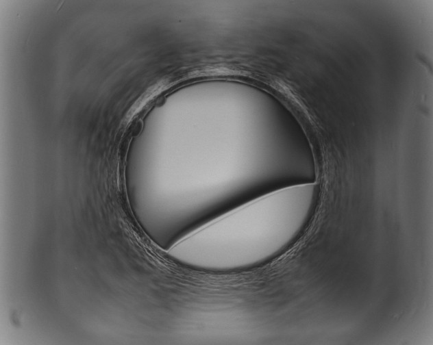 X0000100981173200806241141