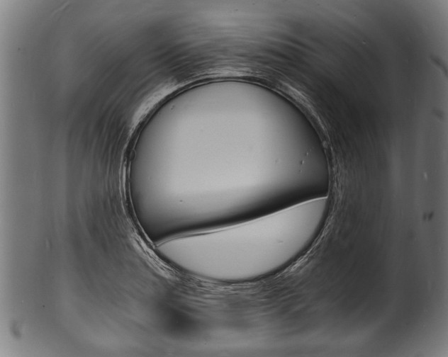 X0000100981179200806241141
