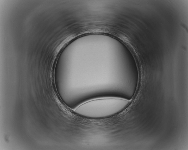 X0000100981181200806241141