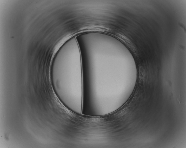X0000100981188200806241141