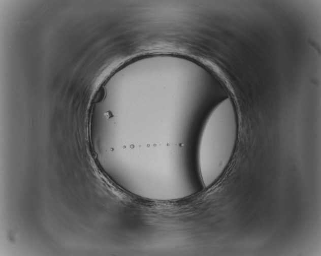 X0000100981191200806241141