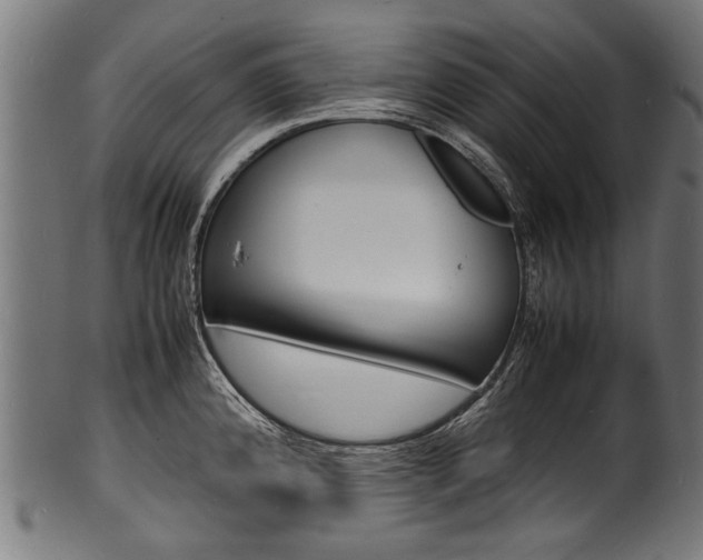 X0000100981192200806241141