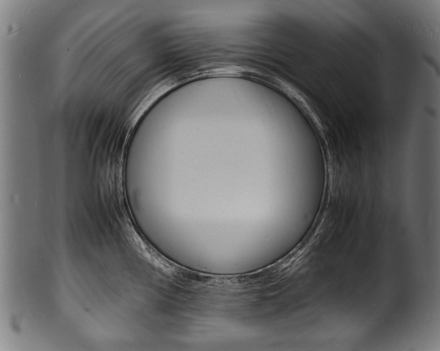 X0000100981194200806241141
