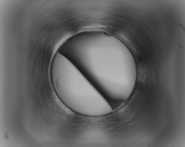 X0000100981196200806241141