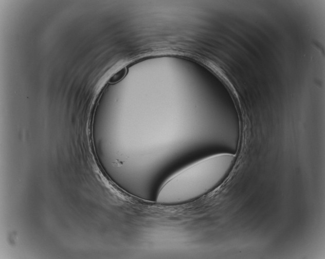 X0000100981197200806241141