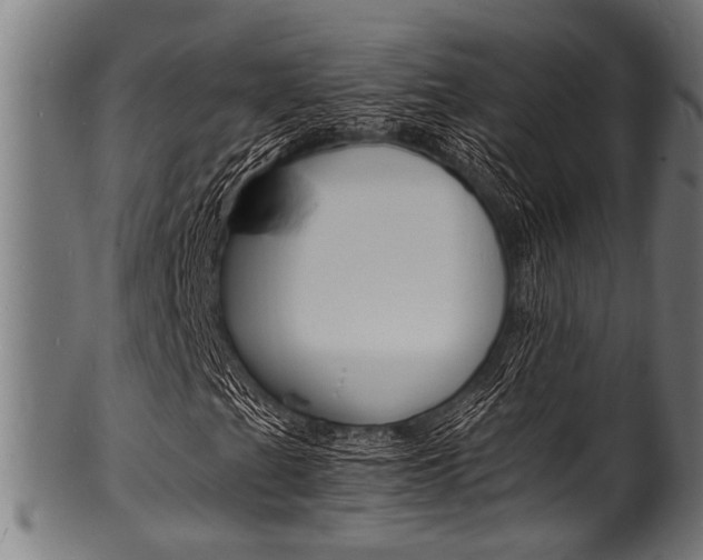 X0000100981201200806241140