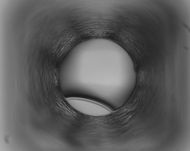 X0000100981202200806241140