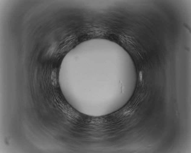 X0000100981203200806241140
