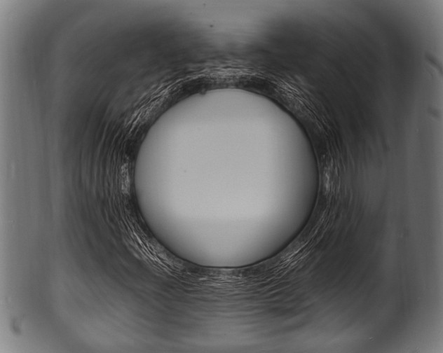 X0000100981204200806241140