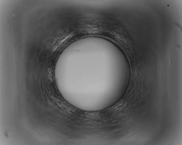 X0000100981205200806241140