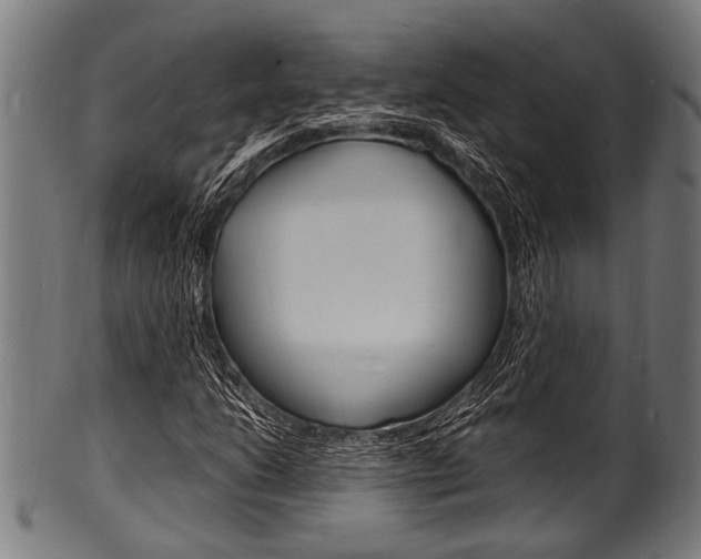 X0000100981206200806241140