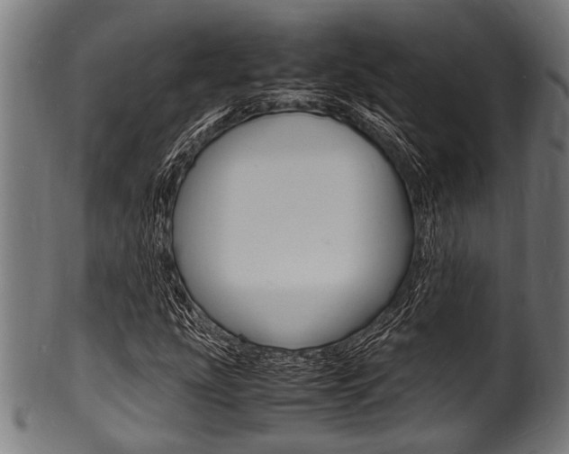 X0000100981207200806241140