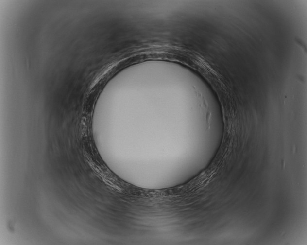 X0000100981208200806241140