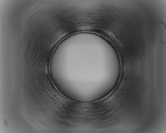X0000100981209200806241140