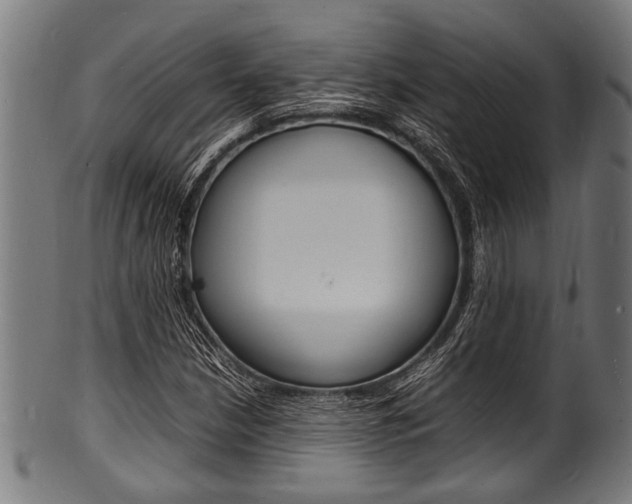 X0000100981210200806241140