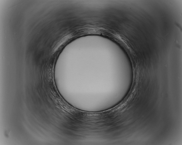 X0000100981211200806241140