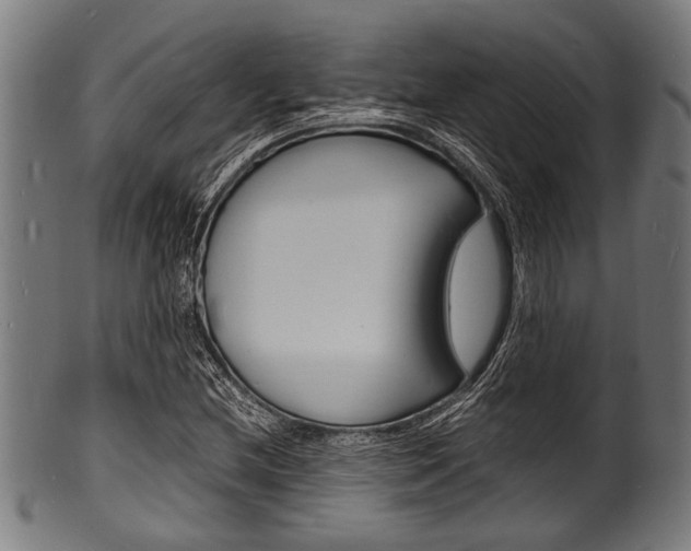 X0000100981212200806241140