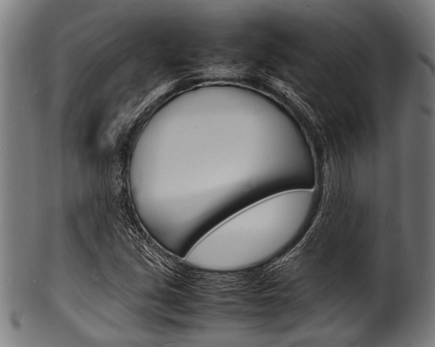 X0000100981213200806241140
