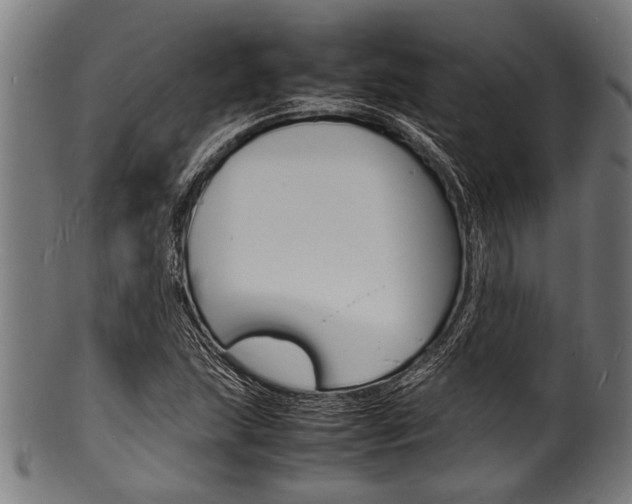 X0000100981215200806241140