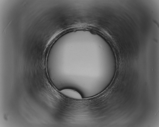 X0000100981216200806241140