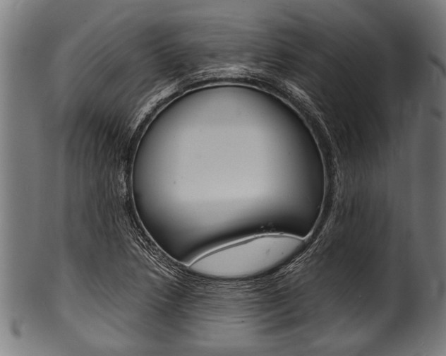 X0000100981218200806241140