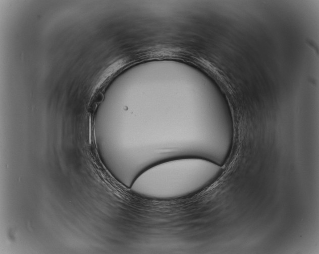 X0000100981219200806241140