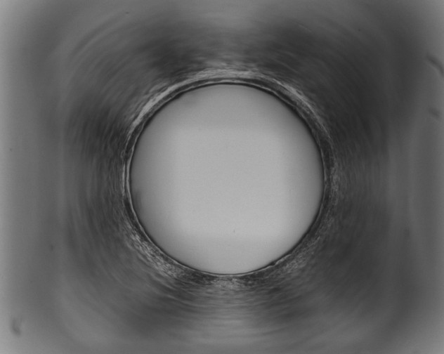 X0000100981220200806241140