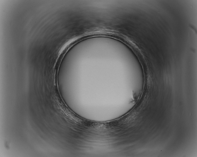 X0000100981222200806241140