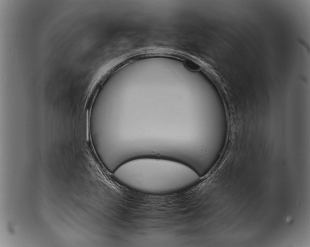 X0000100981223200806241140