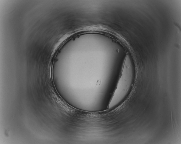 X0000100981224200806241140