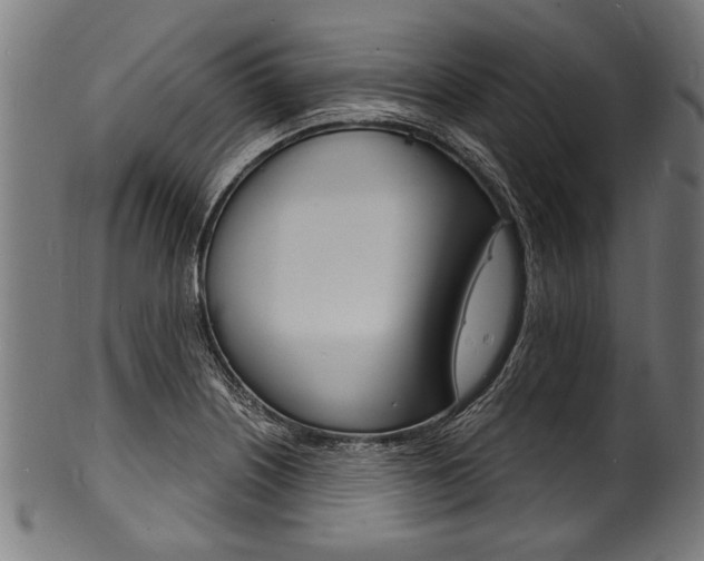X0000100981226200806241140