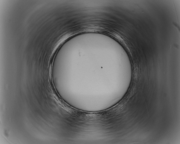 X0000100981227200806241140