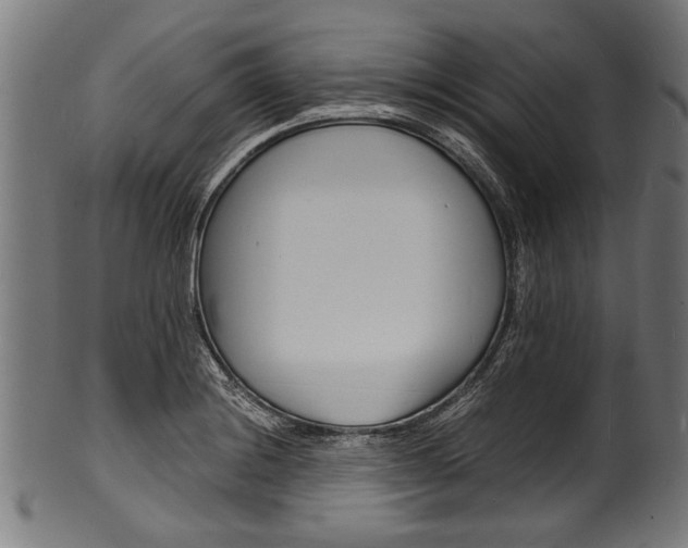 X0000100981228200806241141