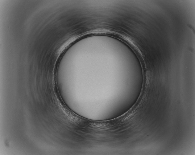 X0000100981229200806241141