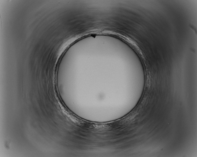 X0000100981231200806241141
