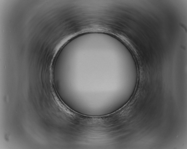 X0000100981238200806241141