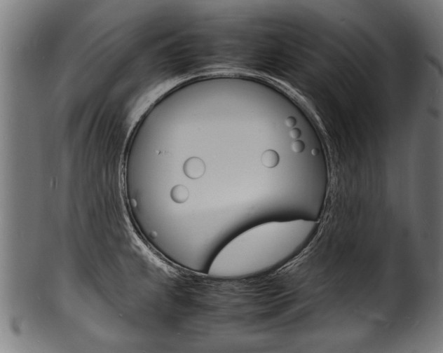X0000100981239200806241141