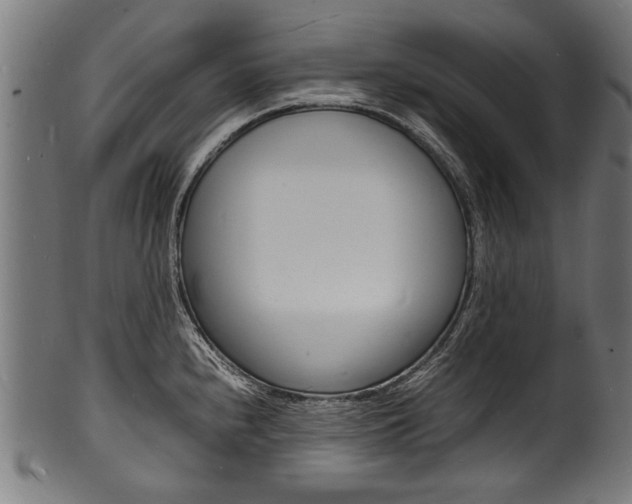 X0000100981240200806241141