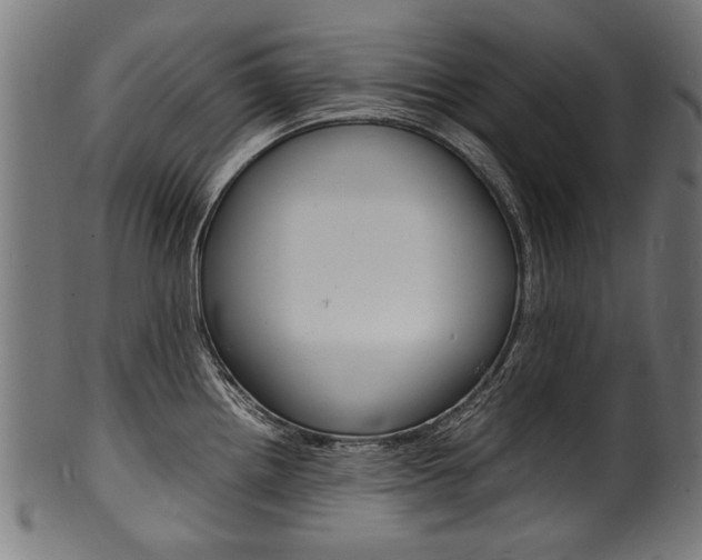 X0000100981242200806241141